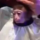 Samolepka
