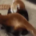 Çıkartma