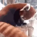Çıkartma