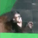Çıkartma