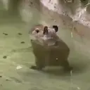 ස්ටිකර්