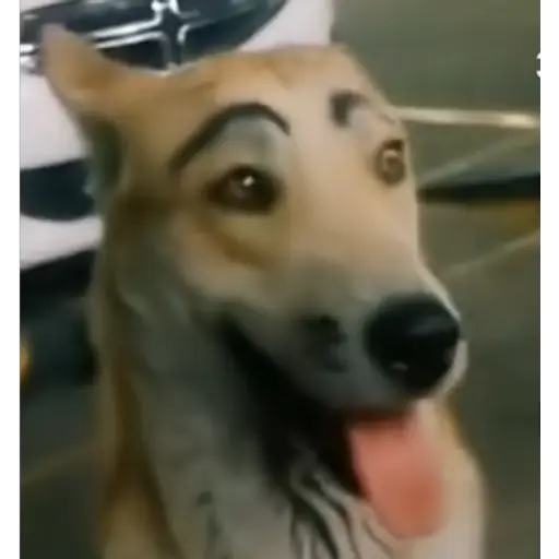 Figurinha