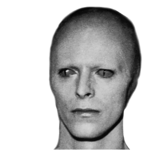 Naljepnica