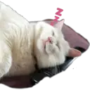 اسٹیکر