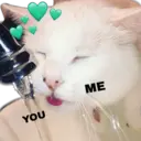 اسٹیکر