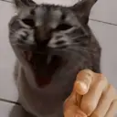 Çıkartma