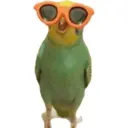 Стикер