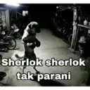 Կպչուն պիտակ