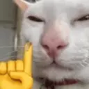 اسٹیکر