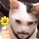 اسٹیکر