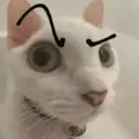 اسٹیکر