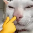 اسٹیکر