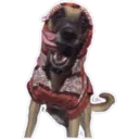 Стикер