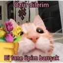 Límmiði