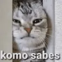 贴纸