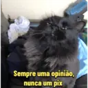 Çıkartma