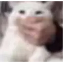 Çıkartma