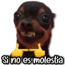 Samolepka