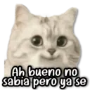 Stika