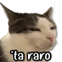Figurinha