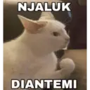 Stika