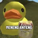Stika