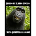 Stika