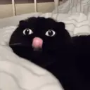 Límmiði
