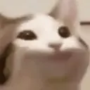 Límmiði