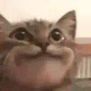 Límmiði
