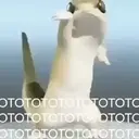 Çıkartma