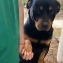 สติกเกอร์