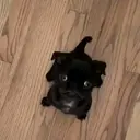 สติกเกอร์