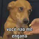 Figurinha