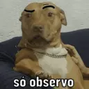 Figurinha