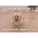 Naklejka