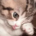 ស្ទីកเกอร์