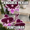 استیکر