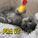 Pelekat