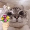 Pelekat