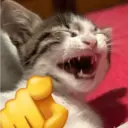 Pelekat