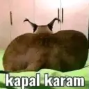 اسٹیکر
