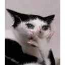 ملصق