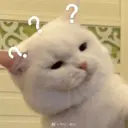 ملصق