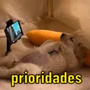 Figurinha