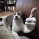 ملصق