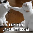 Límmiði
