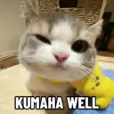 Límmiði