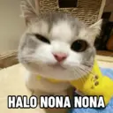 Límmiði