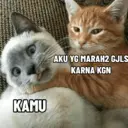 Límmiði
